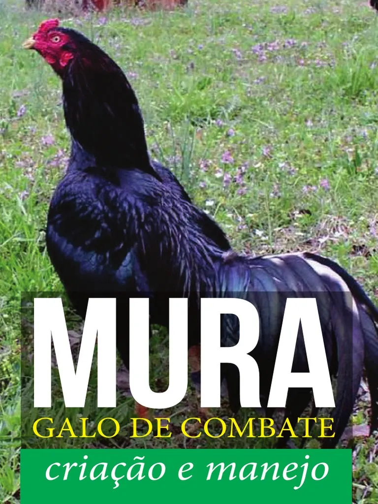 Capa do material técnico Mura Galo de Combate — criação e manejo