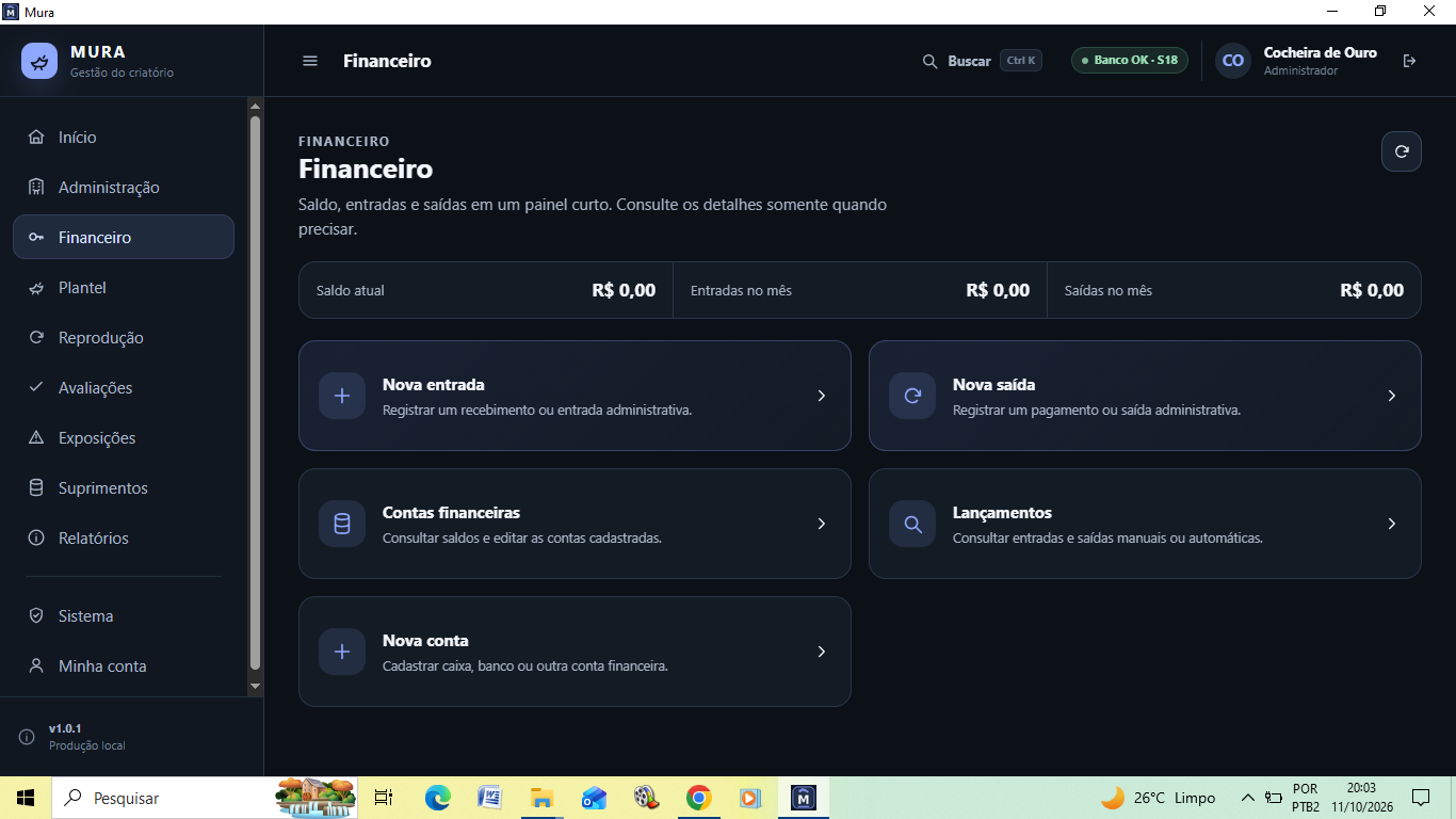 Painel Financeiro do Mura
