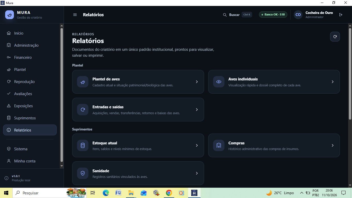 Painel de Relatórios do Mura